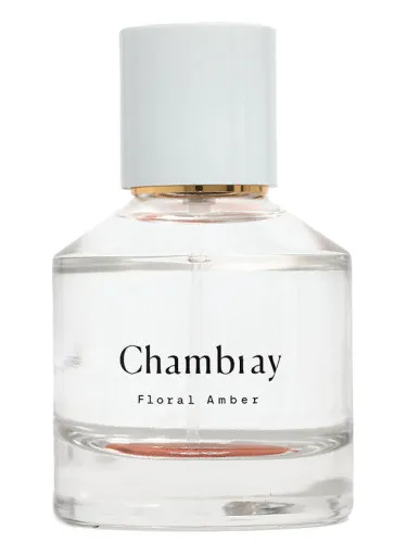 Perfume Chambray de Madewell