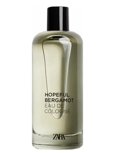 Imagen de Hopeful Bergamot
