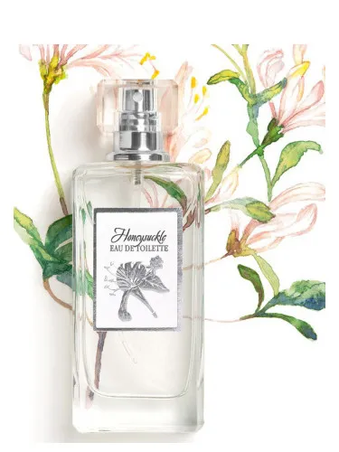 Imagen de Honeysuckle