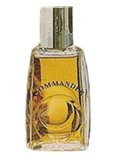 Perfume Commander de Avon