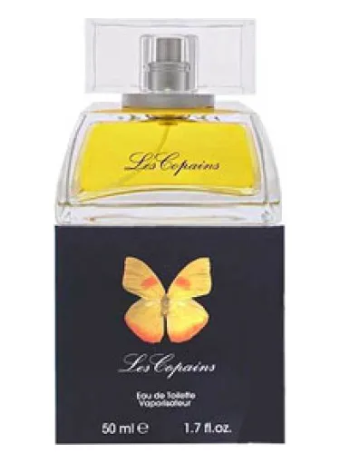 Imagen de Papillon