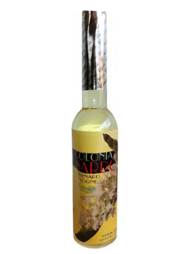 Imagen de Nardo (Spikenard)