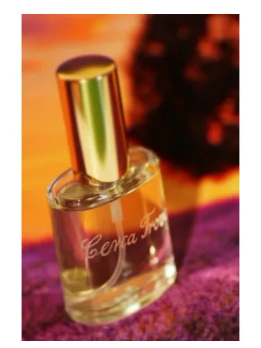 Perfume Cerca Trova de Francesco Vitelli Perfumes