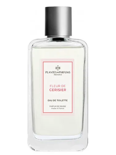 Imagen de Fleur de Cerisier