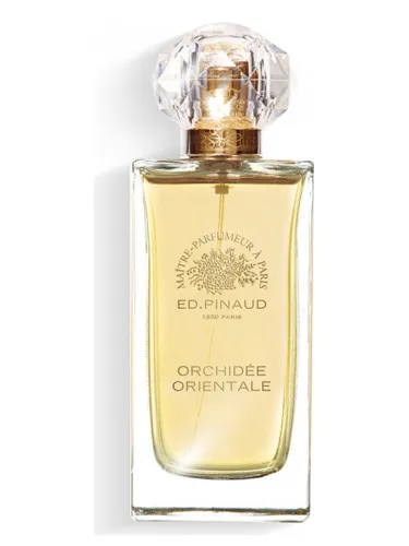 Imagen de Orchidée Orientale