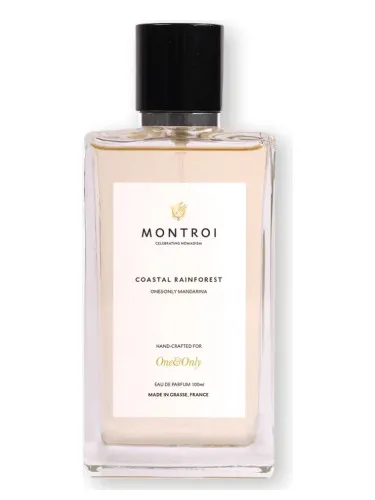 Imagen de Coastal Rainforest
