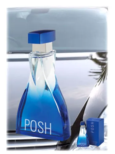 Perfume Posh Homme de Dina Cosmetics