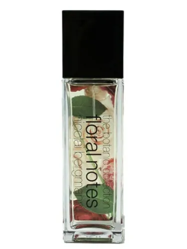 Imagen de Sahara Rose