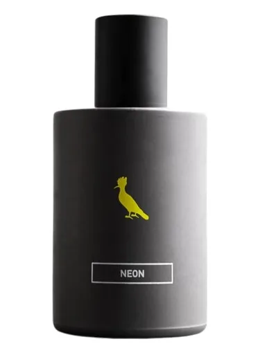 Imagen de Neon