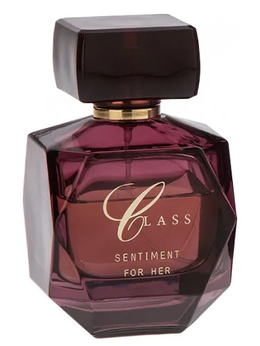Perfume Sentiment de Class