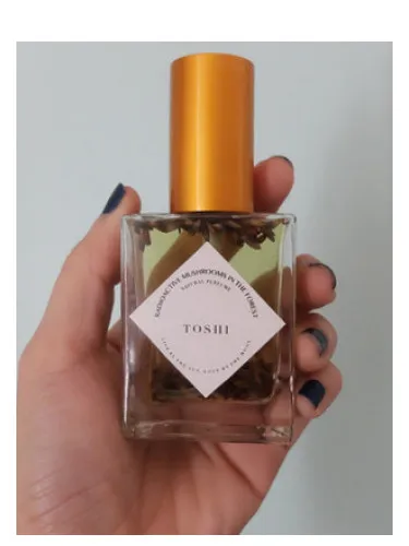 Perfume Toshi de Radioactive Mushrooms in the Forest
