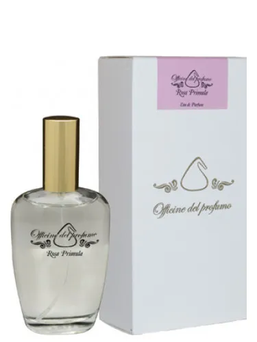 Perfume Rosa Primula de Officine del Profumo