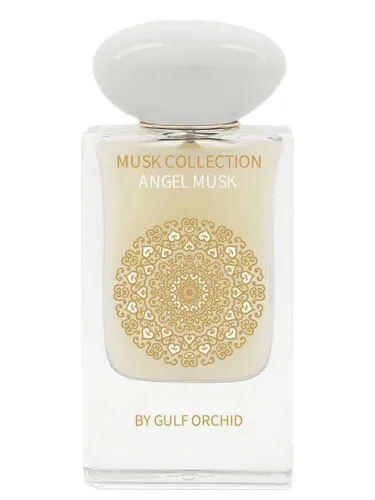 Imagen de Angel Musk