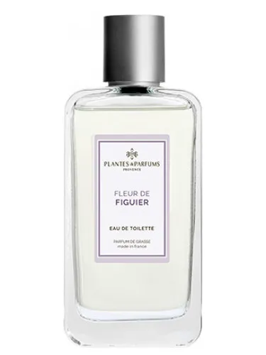 Imagen de Fleur de Figuier