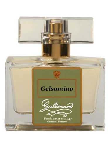 Imagen de Gelsomino