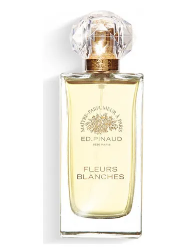 Imagen de Fleurs Blanches
