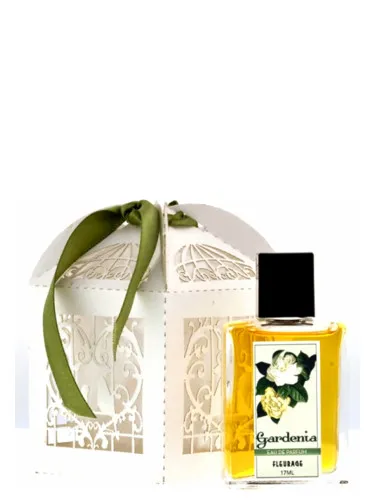 Imagen de Gardenia
