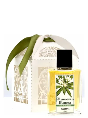 Imagen de Plumeria Blanca