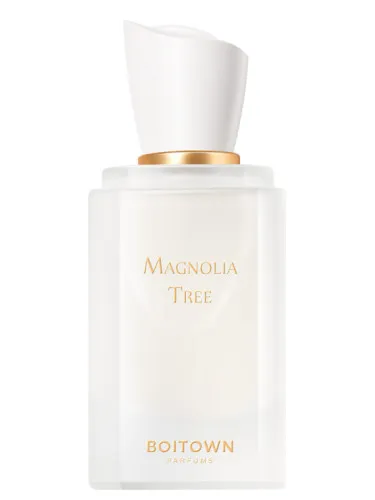 Imagen de Magnolia Tree	一树玉兰