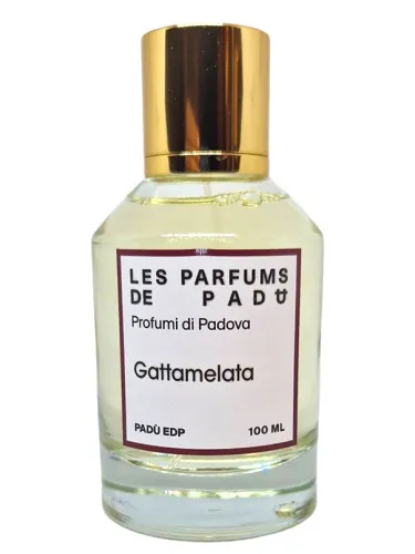 Perfume Gattamelata de Padù