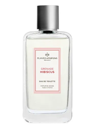 Imagen de Grenade Hibiscus