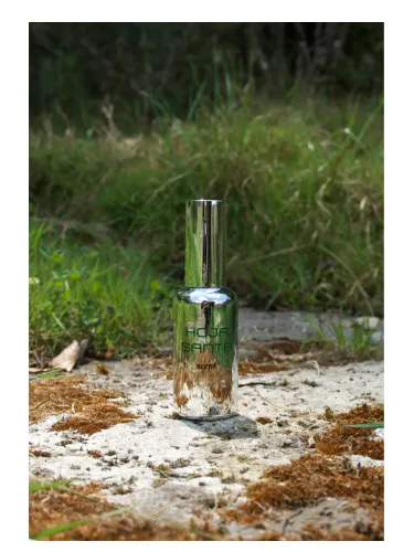 Perfume Hoja Santa de Scent