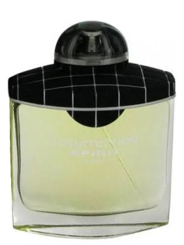 Perfume Insurrection Spirit de Reyane Tradition