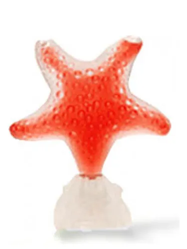 Imagen de Star Red Pasion