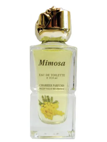 Imagen de Mimosa