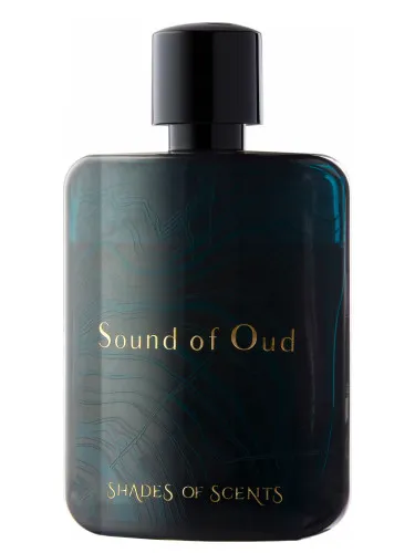 Imagen de Sound Of Oud