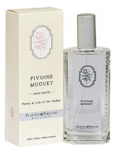 Imagen de Pivoine Muguet
