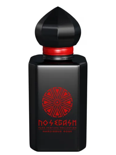 Imagen de Narcissus Rose