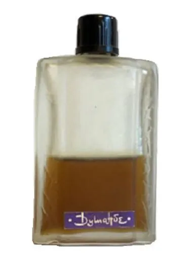Perfume Душанбе de Северное сияние