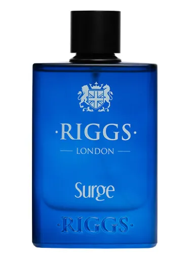 Imagen de Surge