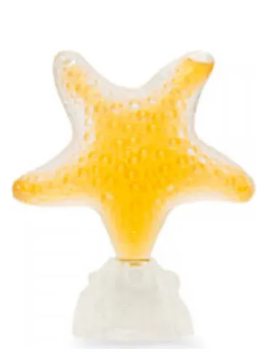Perfume Star Sensual Amber de Seajewels