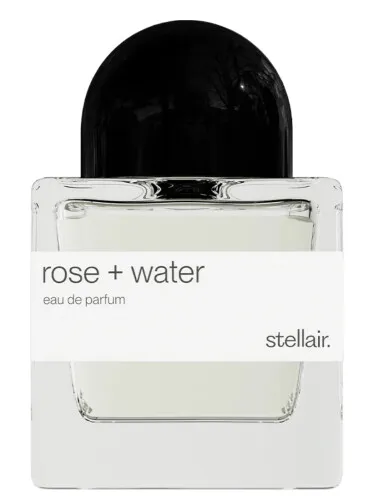 Perfume Rose + Water de Stellair Perfumes