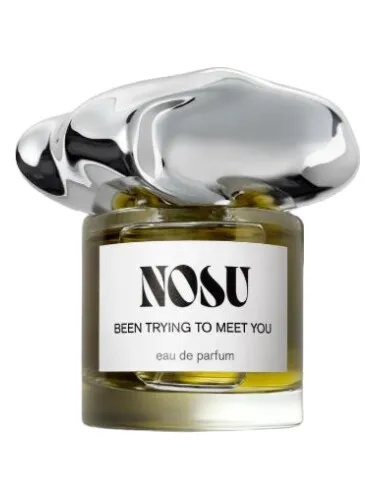 Perfume Been Trying To Meet You de Nosu
