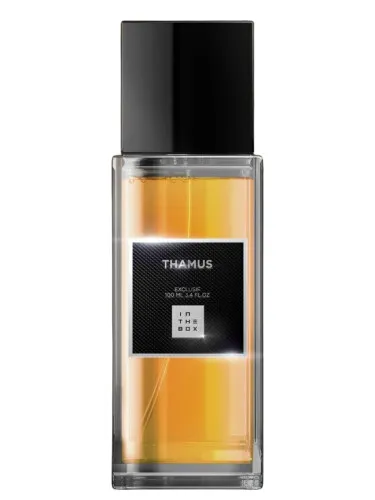 Perfume Thamus de In The Box