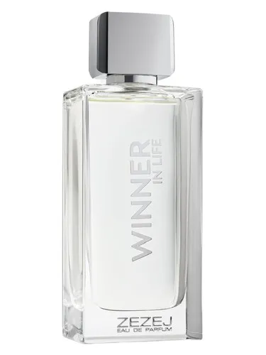Imagen de Winner In Life