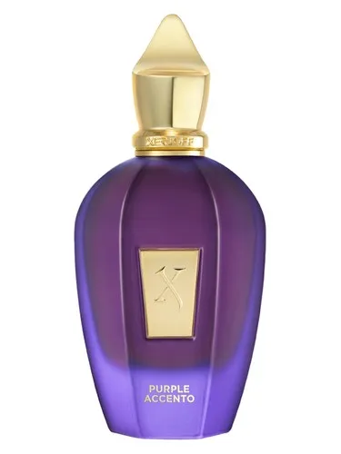 Imagen de Purple Accento