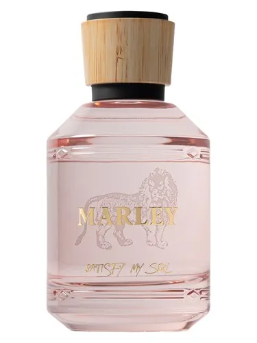 Perfume Satisfy My Soul de Marley Fragrance