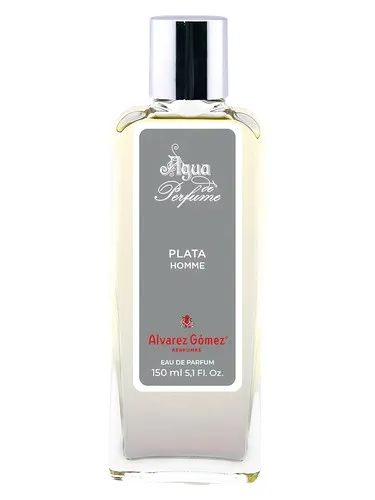 Imagen de Plata Homme