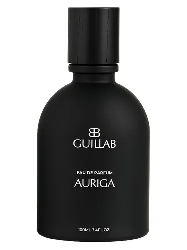 Imagen de AURIGA