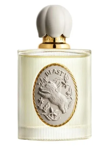 Perfume Day Dreaming 白日梦 de Beast 野兽派