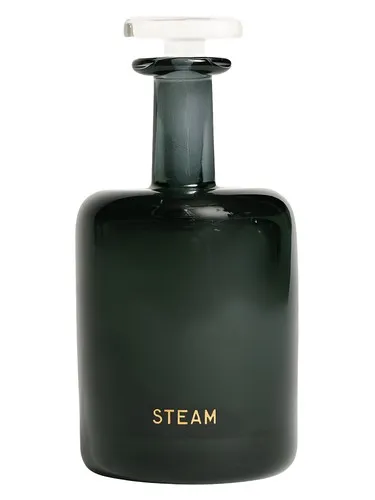 Perfume Steam de Perfumer H