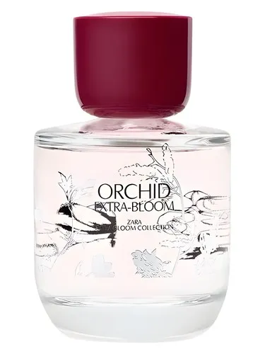 Perfume Orchid Extra-Bloom de Zara