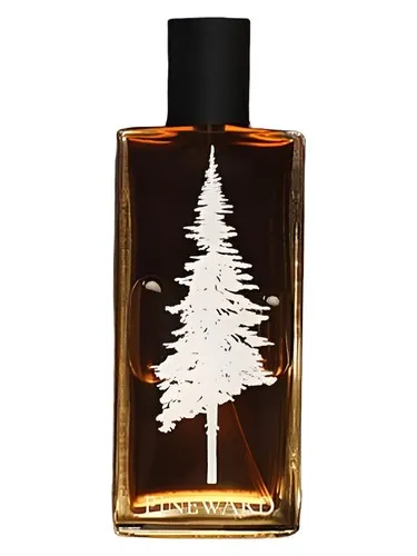 Perfume Lime Cola de Pineward Perfumes