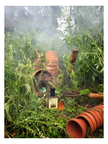 Perfume Sweet Clover & Wood Smoke de Solstice Scents
