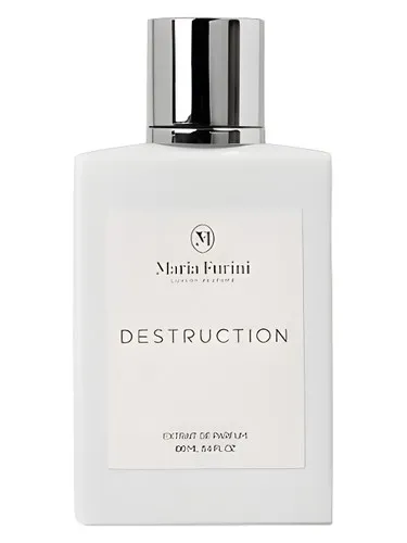 Imagen de Destruction
