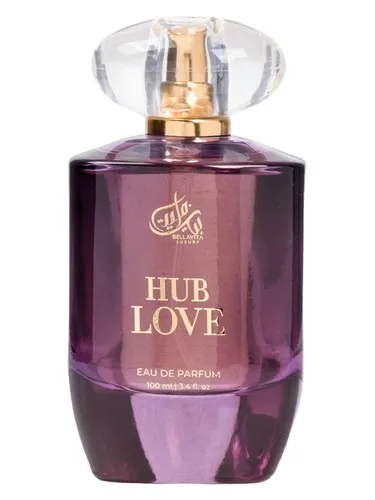 Imagen de Hub Love